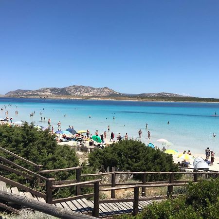 La Mansardina Apartment Porto Torres Ngoại thất bức ảnh